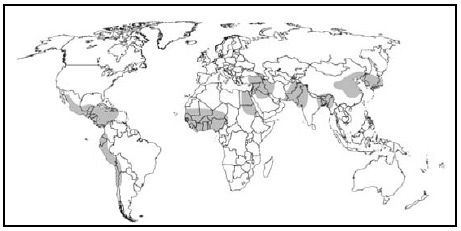 Carte des civilisations avancées - icke