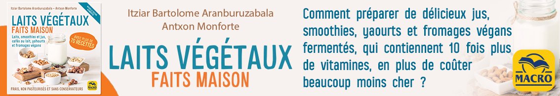 Laits végétaux faits maison