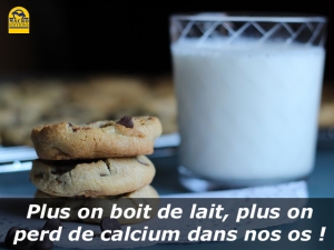 Plus on boit de lait,  plus on perd de calcium dans nos os