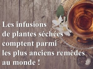 Les infusions de plantes séchées comptent parmi les plus anciens remèdes au monde !