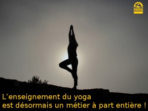 L’enseignement du yoga est désormais un métier à part entière