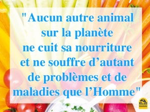 Comment devenir crudivore ? (alimentation vivante)