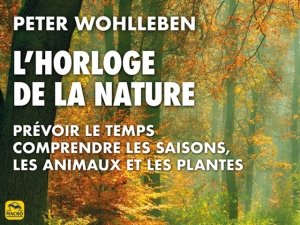 20 choses sur les arbres que vous ignorez sur les arbres et la nature !