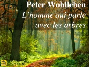 Peter Wohlleben : L’homme qui parle avec les arbres