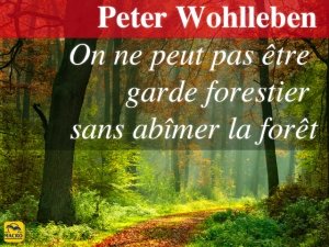 Peter Wohlleben : je voulais sauver toutes les forêts !