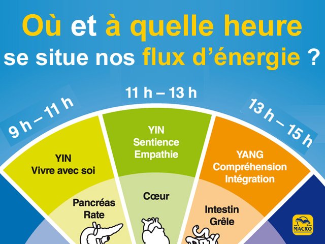 La chronobiologie chinoise, une solution pour remettre de l’ordre et… les « pendules à l’heure »