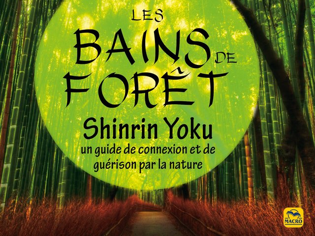 SHINRIN YOKU ( ou comment faire un "bain de forêt")