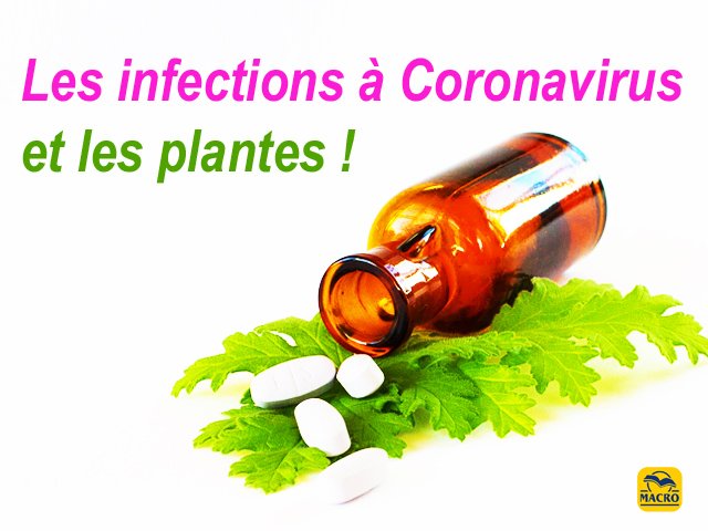 Traiter les infections à Coronavirus par les plantes (S. H. Buhner) 2\2