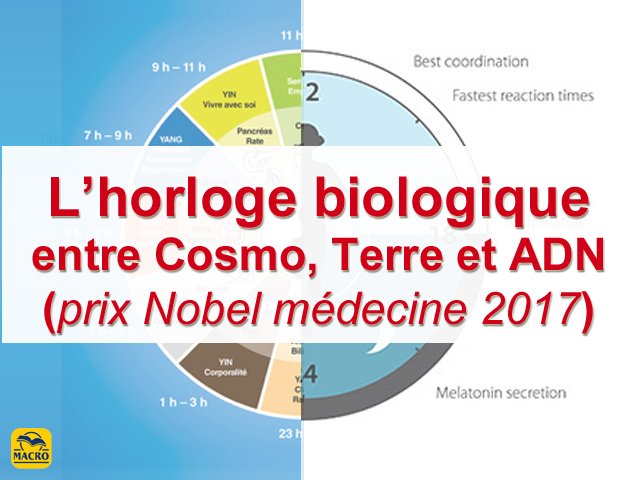 2 choses à savoir sur l'horloge biologique et le prix Nobel de médecine