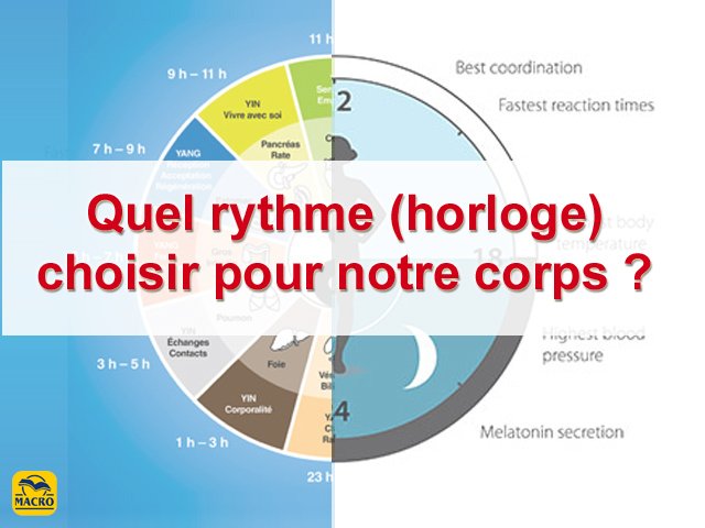 L’horloge biologique : ce que le prix Nobel de médecine 2017 ne dit pas.