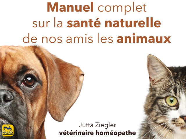 La santé (naturelle) de nos animaux préférés !