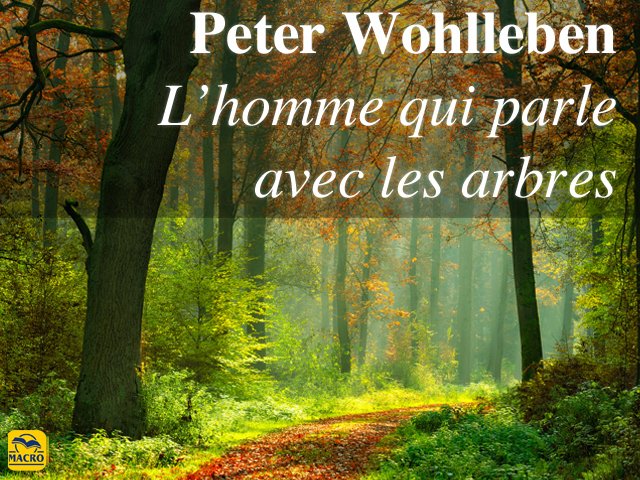 Peter Wohlleben : L’homme qui parle avec les arbres