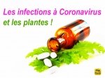 Traiter les infections à Coronavirus par les plantes (S. H. Buhner) 2\2