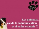 Les animaux :  rois de la jungle ou de la communication ?