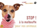STOP à la malbouffe pour nos chiens et chats !