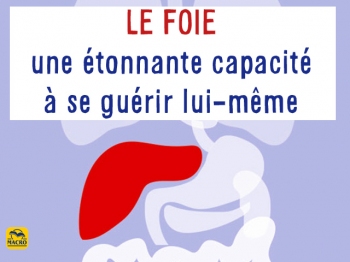 Mr Le Foie : directeur de la désintoxication !