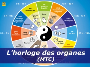 Chronobiologie Et M decine Traditionelle Chinoise