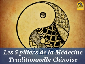 Les cinq piliers de la médecine traditionnelle chinoise…