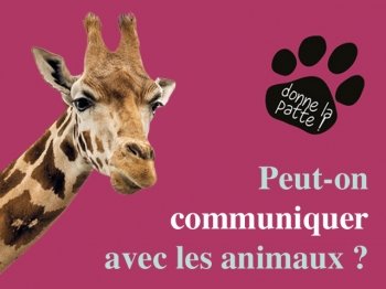 Peut-on communiquer avec nos animaux ?