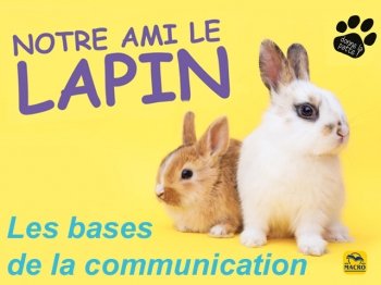 La comunication de lapin en famille