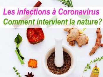Traiter les infections à Coronavirus par les plantes (S. H. Buhner) 1\2