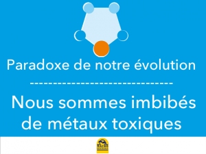 Les métaux toxiques sont tout sauf inoffensifs !