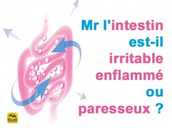 Mr l'Intestin est-il irritable, enflammé ou paresseux ?