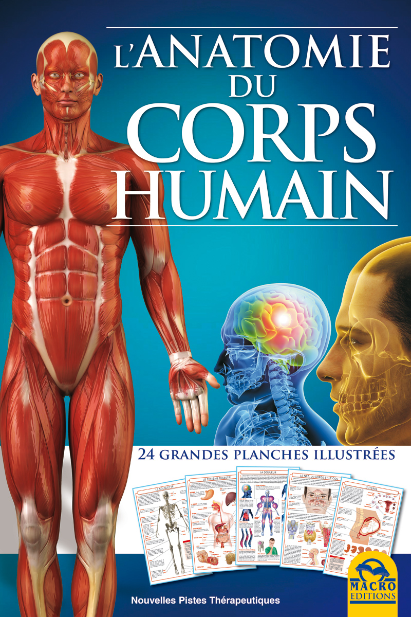 L'Anatomie du Corps Humain - un LIVRE atlas chez Macro Editions