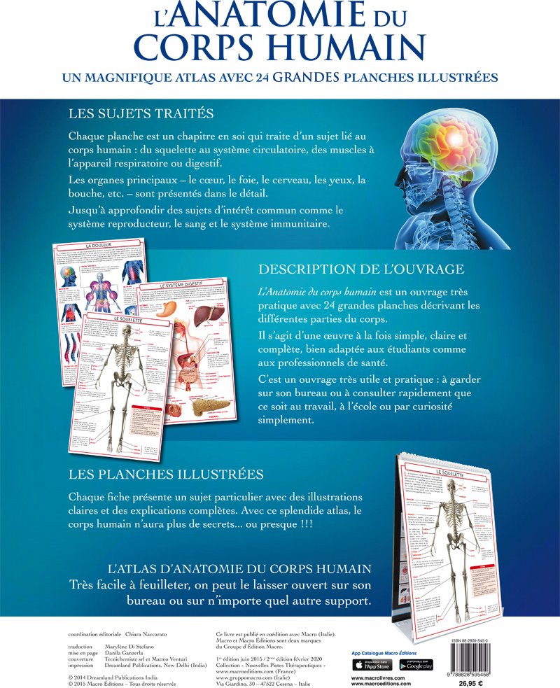 L Anatomie Du Corps Humain 24 Grandes Planches Illustrées
