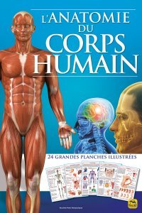 L'anatomie du corps humain (atlas) - Livre