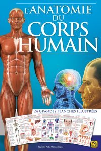 L'anatomie du corps humain - Livre