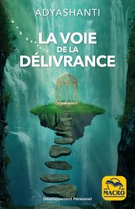 Guide pratique de l'éveil Adyashanti - Ebook