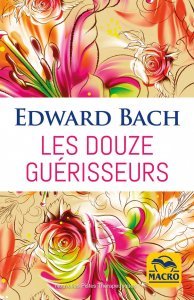 Les douze guérisseurs (epub) - Ebook