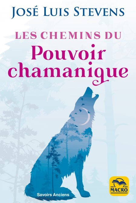 Les Chemins du Pouvoir Chamanique (kindle) - Ebook