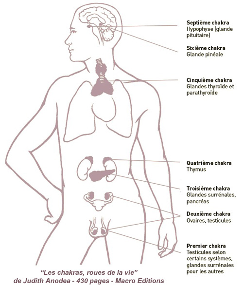 ganglions et chakras