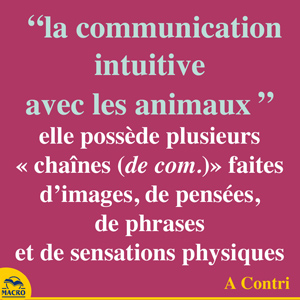 la communication intuitive avec les animaux