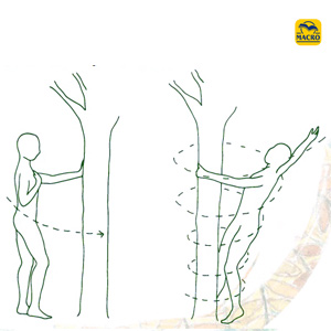 exercice du vortex entre l'homme et l'arbre