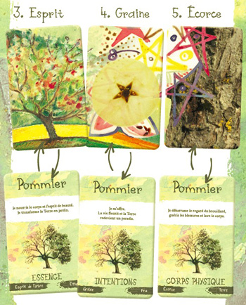 carte 3, 4 et 5 - esprit des arbres