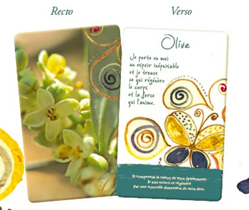 les cartes des fleurs de Bach - recto & verso