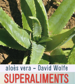 aloes vera gel naturel