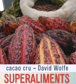 cacao cru antioxydants