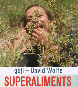 goji super aliment