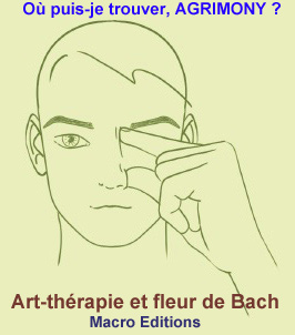 Agrimomy fleur de Bach - visage - nez