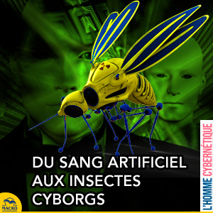 insecte cyborg et sang artificiel groupe 0