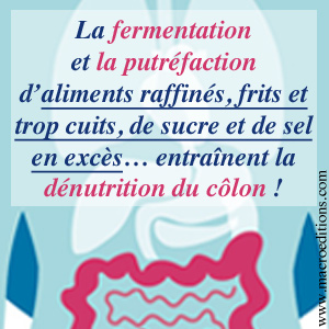 fermentation dénutrition du colon