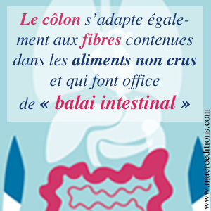 le côlon les fibre et le nettoyage intestinal