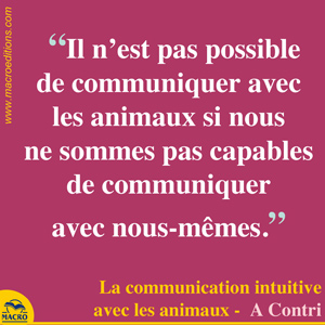 communication avec nous même et avec les animaux