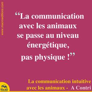 communication animaux énergétique et physique