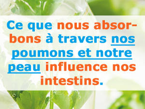 facteurs externes et intoxication - regime detox