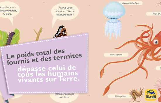 les insectes sont plus lourd que les humains !